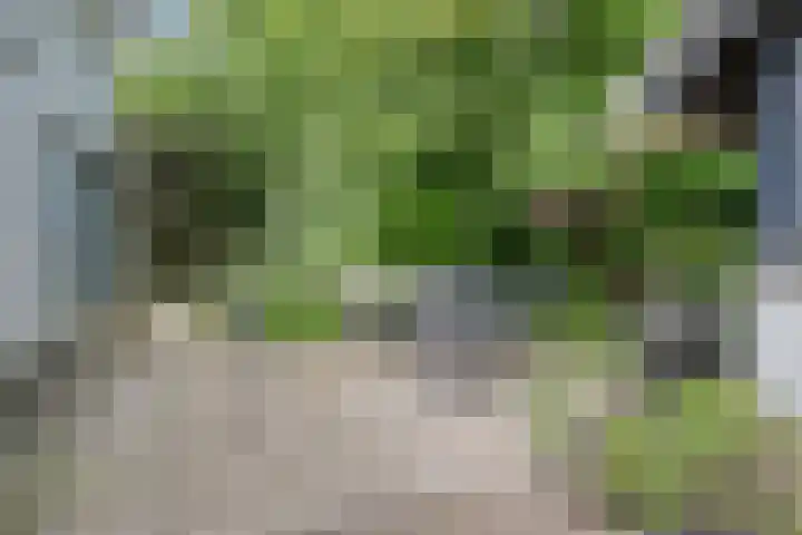Fortrapastraat 35 's-Gravenpolder thumbnail 32