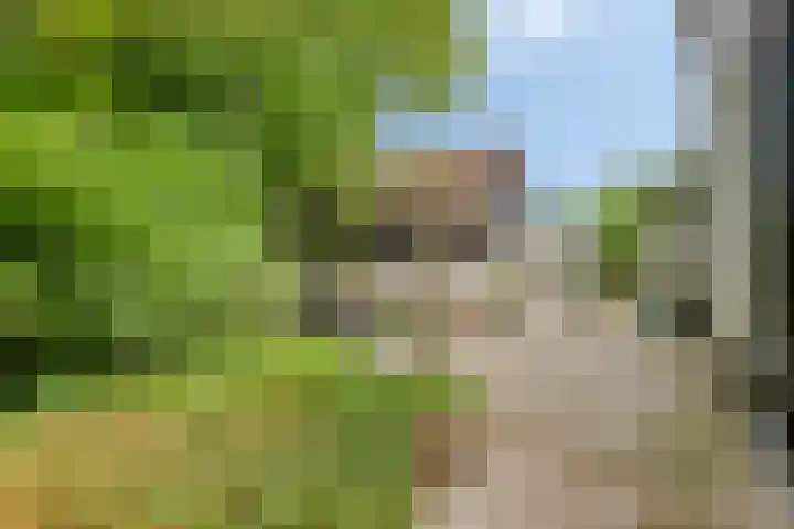 Fortrapastraat 35 's-Gravenpolder thumbnail 33