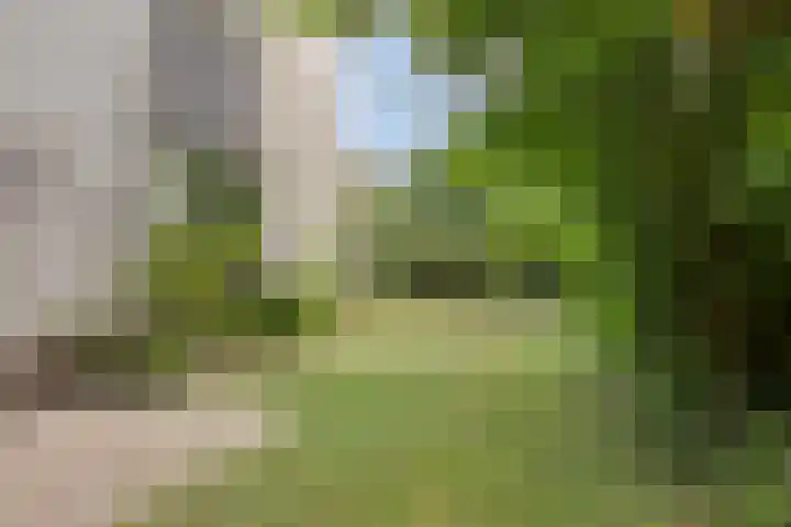 Fortrapastraat 35 's-Gravenpolder thumbnail 34