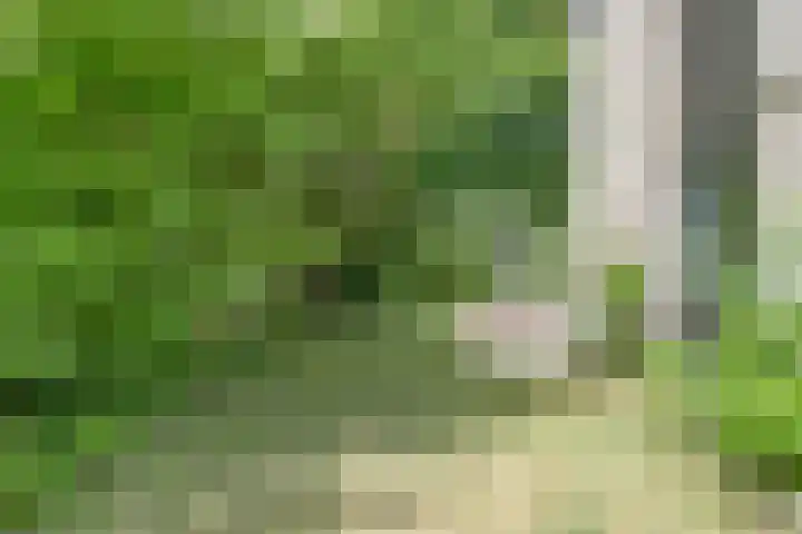 Fortrapastraat 35 's-Gravenpolder thumbnail 35
