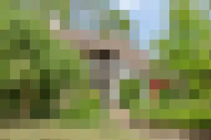 Fortrapastraat 35 's-Gravenpolder thumbnail 38