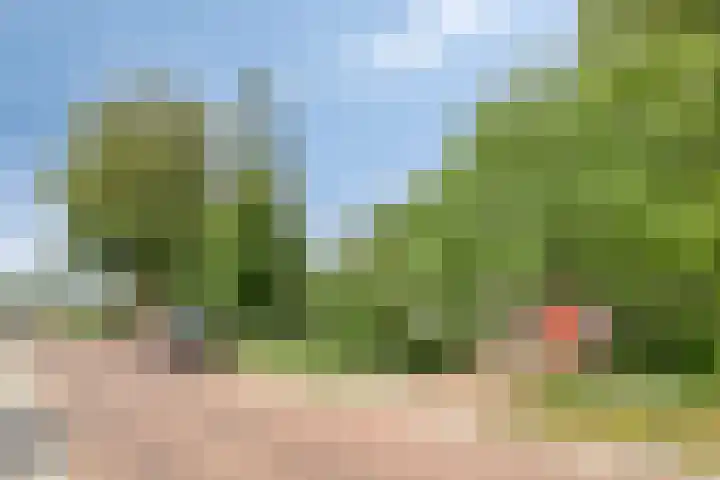 Fortrapastraat 35 's-Gravenpolder thumbnail 4