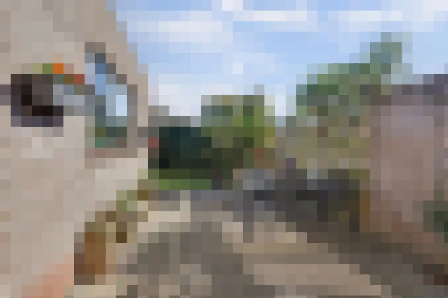 Fortrapastraat 58 's-Gravenpolder thumbnail 33