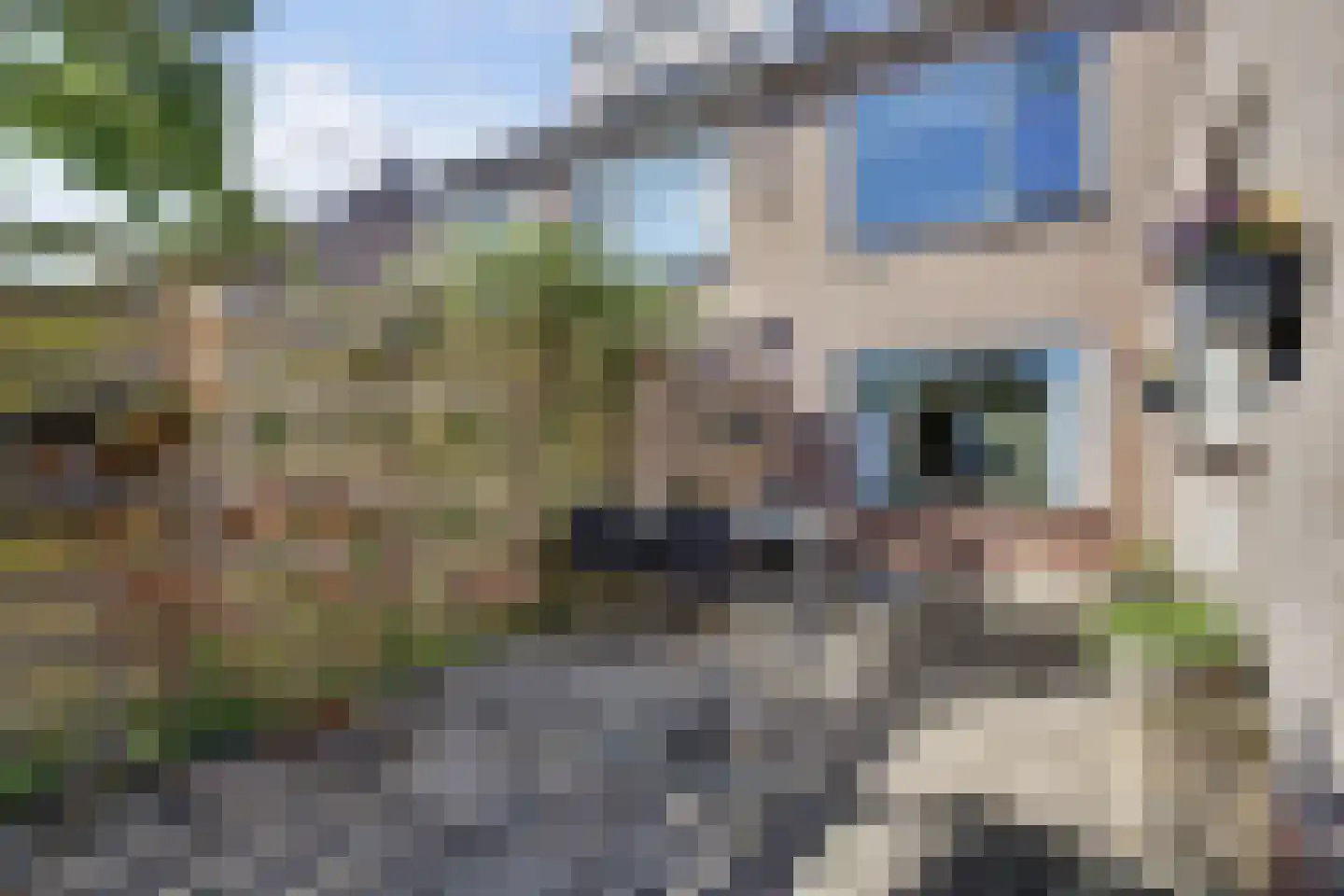Fortrapastraat 58 's-Gravenpolder thumbnail 34