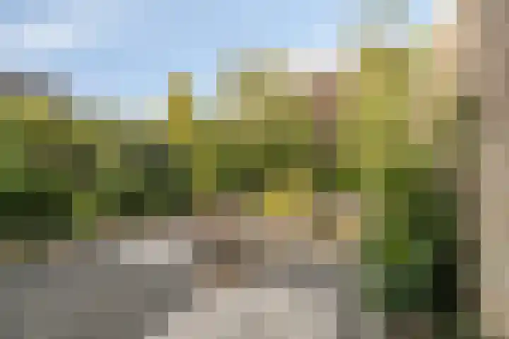 Fortrapastraat 7 's-Gravenpolder thumbnail 33