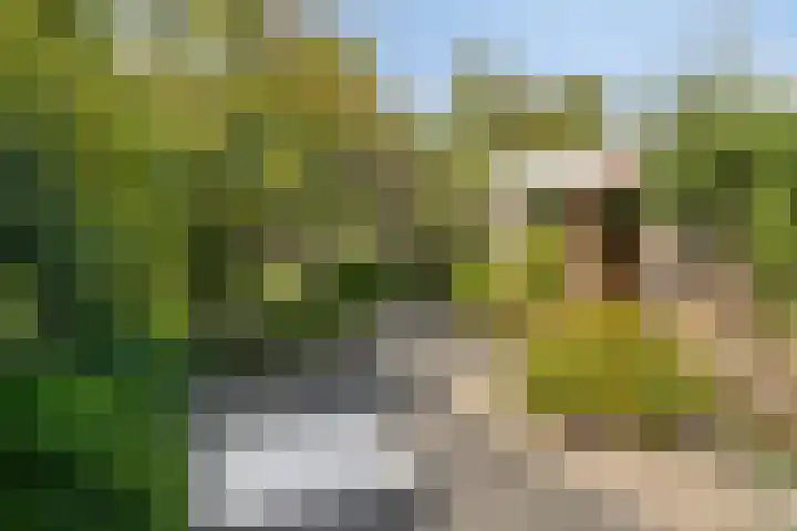 Fortrapastraat 7 's-Gravenpolder thumbnail 35