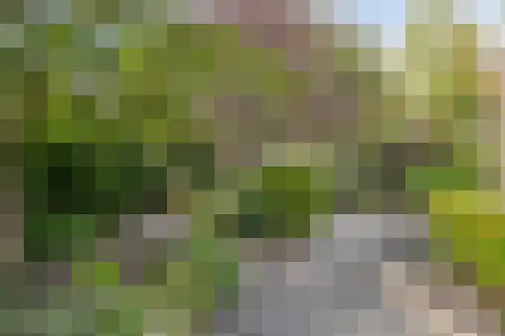 Fortrapastraat 7 's-Gravenpolder thumbnail 36