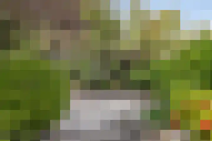 Fortrapastraat 7 's-Gravenpolder thumbnail 37