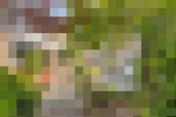 Fortrapastraat 7 's-Gravenpolder thumbnail 38