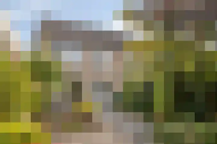 Fortrapastraat 7 's-Gravenpolder thumbnail 39