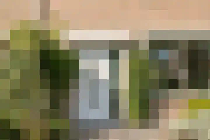 Fortrapastraat 7 's-Gravenpolder thumbnail 9
