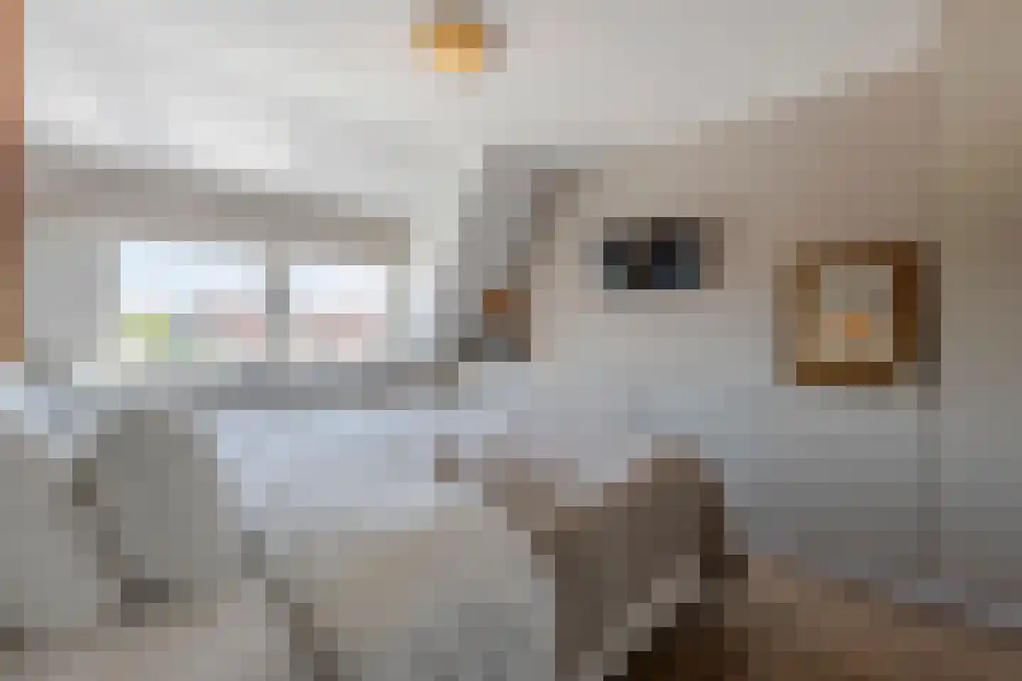 Fortuijnplein 22 Groot-Ammers thumbnail 19