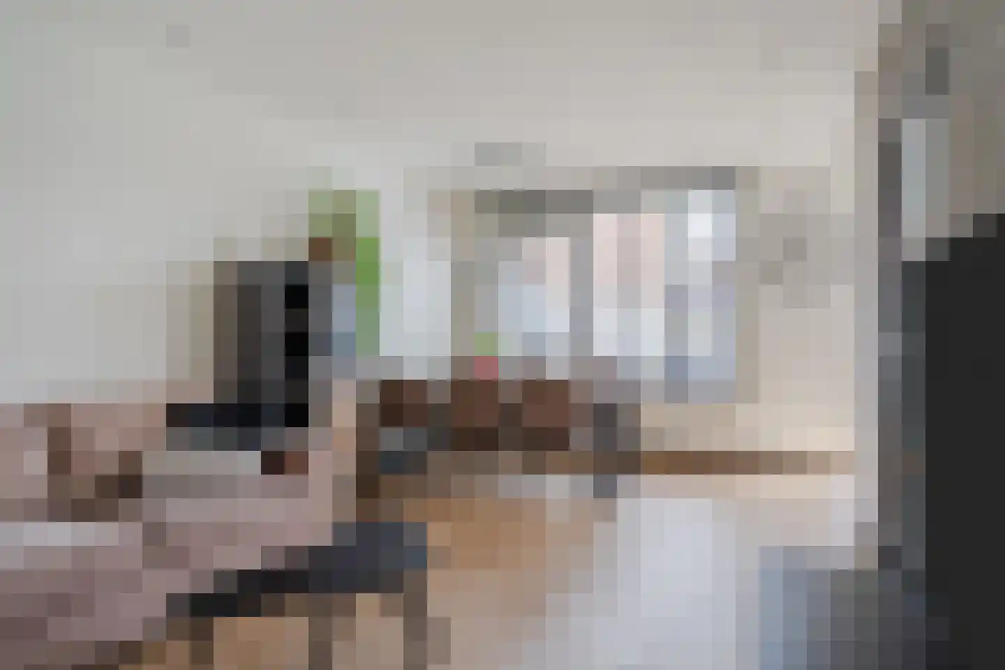 Fortuinlaan 29 Krommenie foto 2