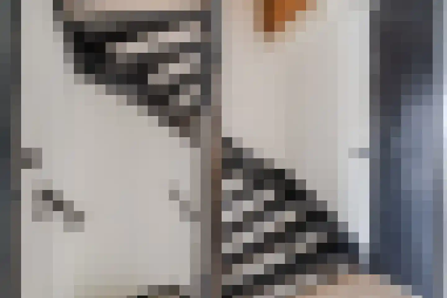Fortuinlaan 29 Krommenie thumbnail 24