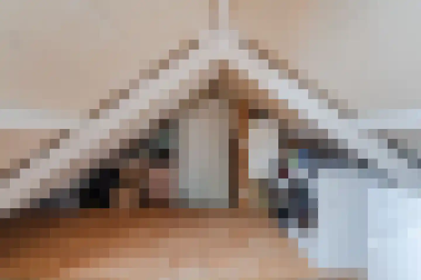 Fortuinlaan 29 Krommenie thumbnail 26