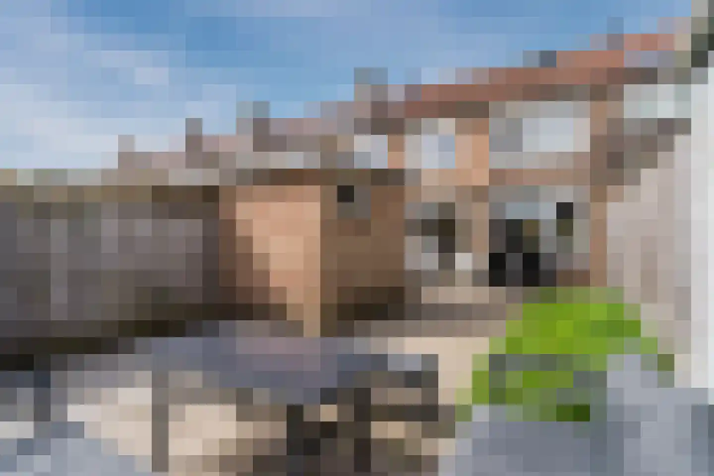Fortuinlaan 29 Krommenie thumbnail 4