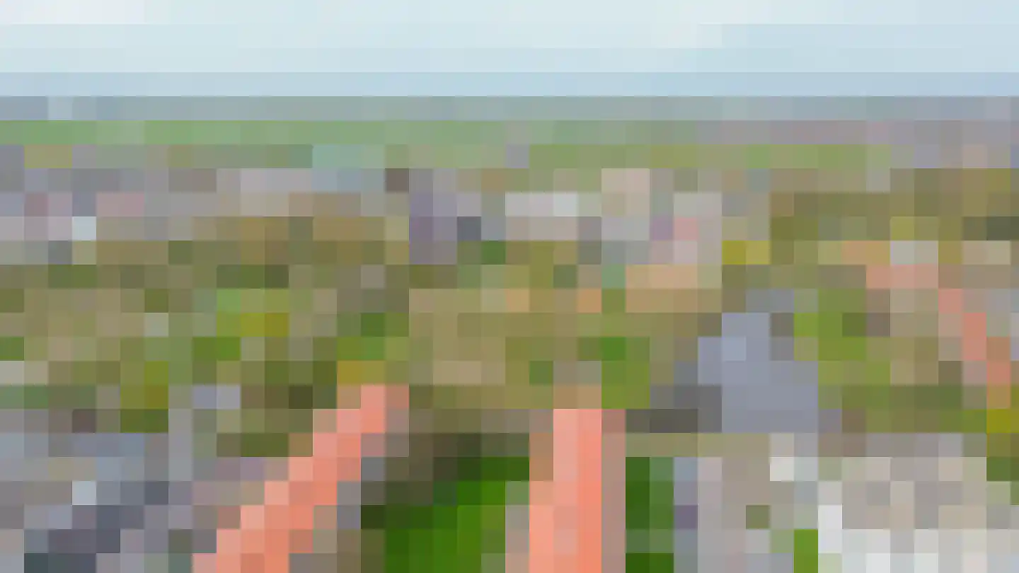 Fortuinlaan 4 Krommenie thumbnail 35