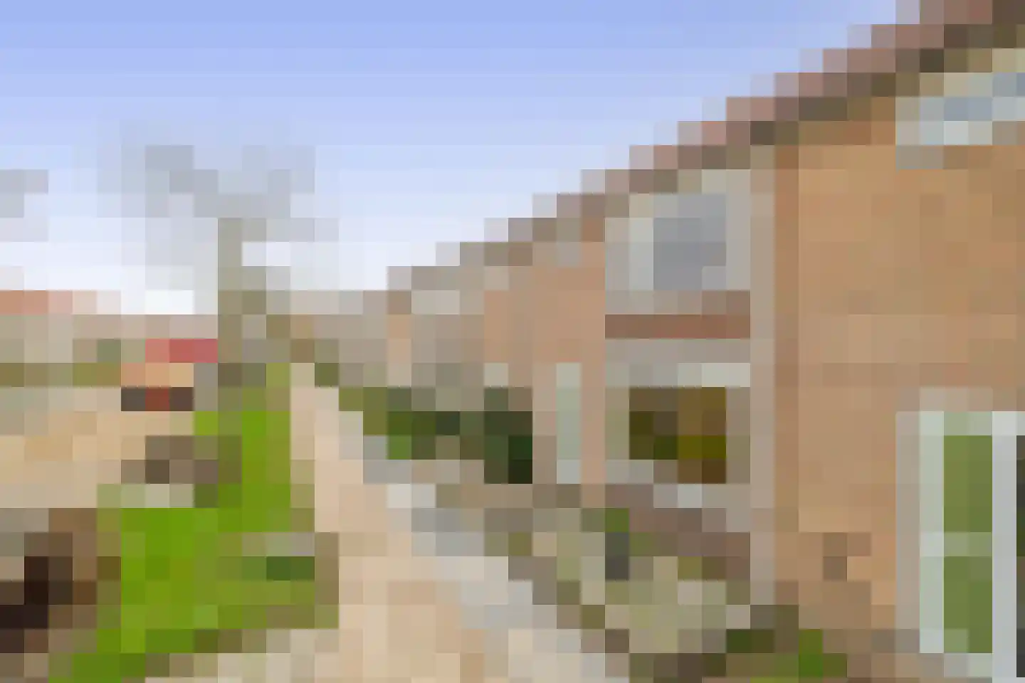 Fortuinlaan 4 Krommenie thumbnail 5