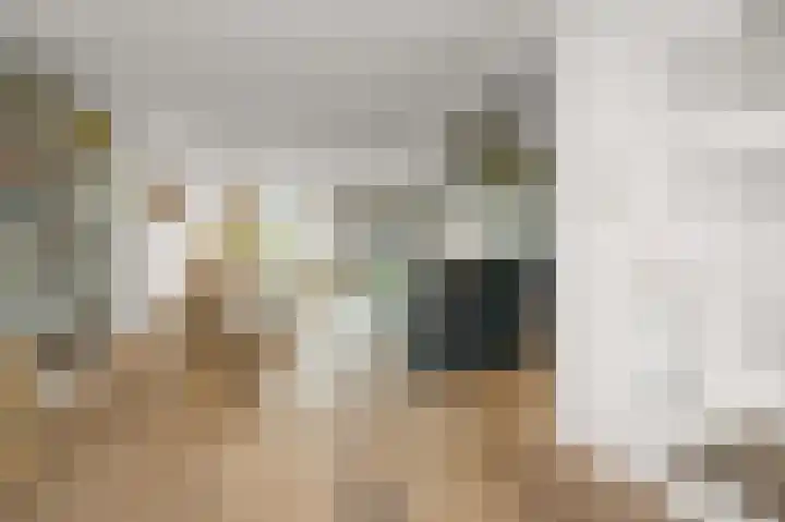 Fortuinlaan 60 Krommenie thumbnail 10