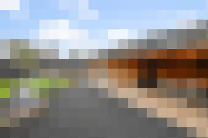 Fortuinlaan 60 Krommenie foto 2