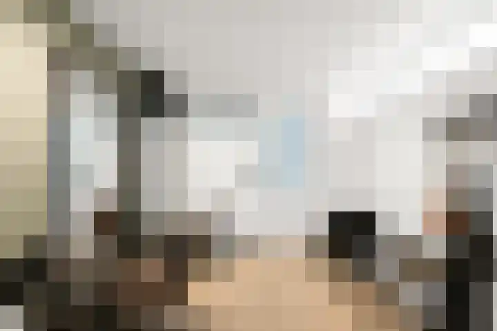 Fortuinlaan 60 Krommenie thumbnail 24