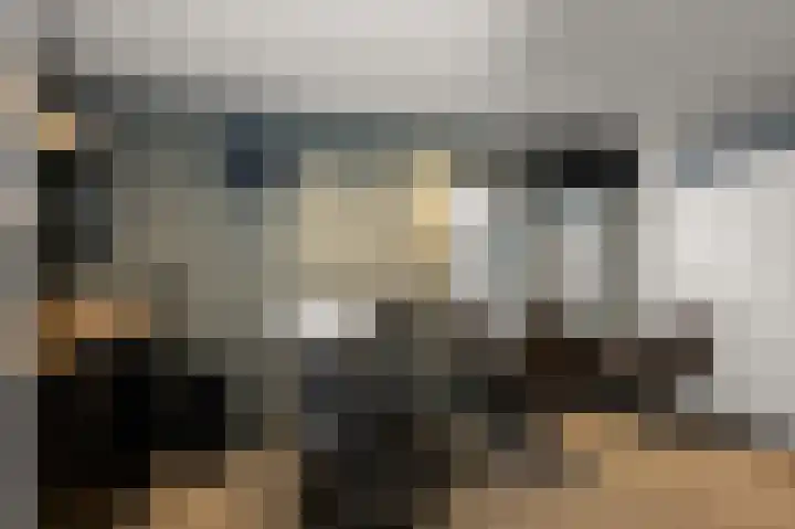 Fortuinlaan 60 Krommenie thumbnail 25