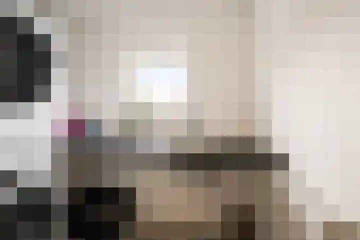 Fortuinlaan 60 Krommenie thumbnail 29