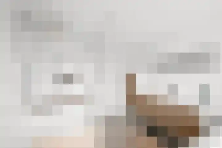 Fortuinlaan 60 Krommenie thumbnail 34