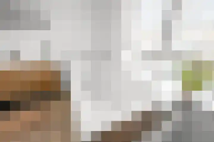 Fortuinlaan 60 Krommenie thumbnail 35