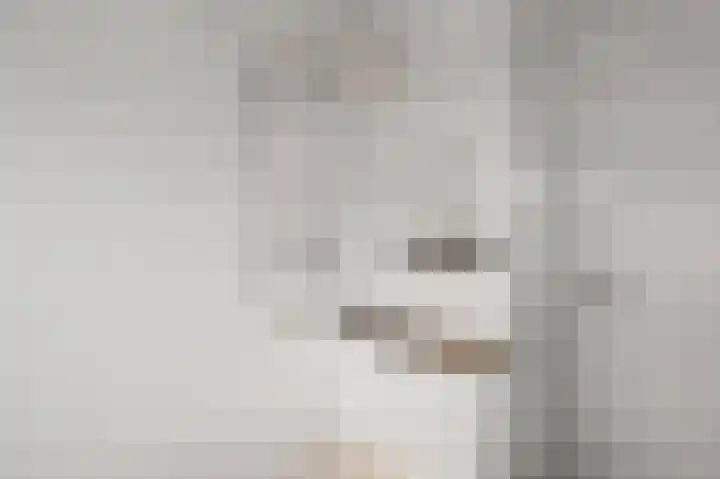Fortuinlaan 60 Krommenie thumbnail 37