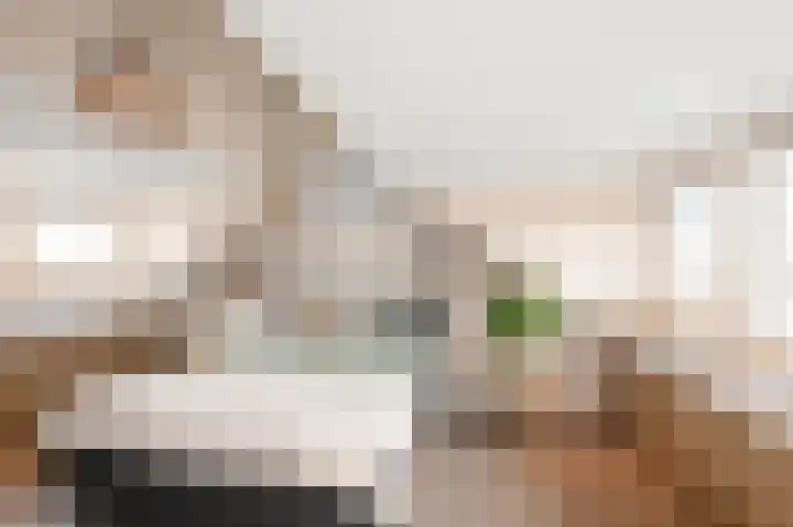 Fortuinlaan 60 Krommenie thumbnail 38