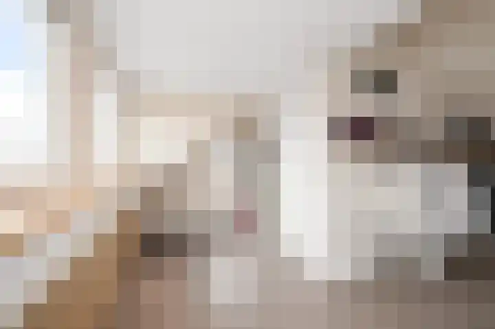 Fortuinlaan 60 Krommenie thumbnail 40