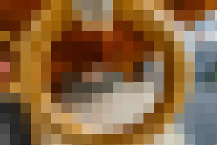Fortuinlaan 60 Krommenie thumbnail 43