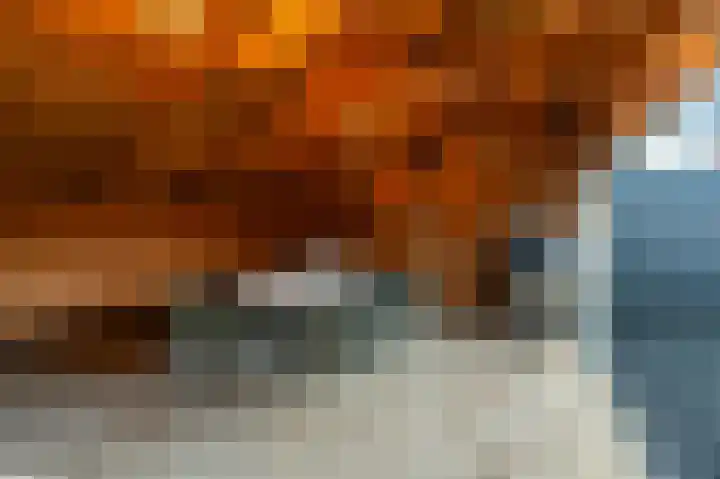 Fortuinlaan 60 Krommenie thumbnail 44