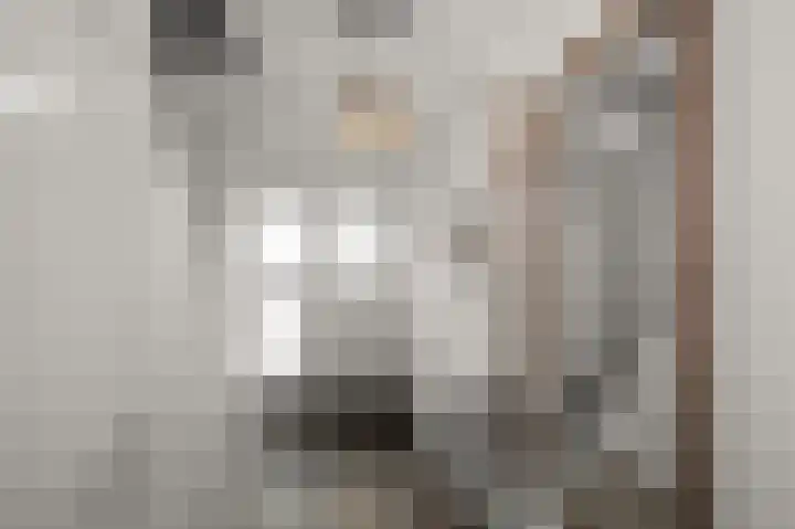 Fortuinlaan 60 Krommenie thumbnail 5