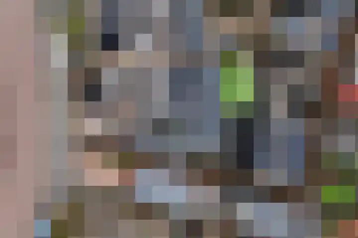 Fortuinlaan 60 Krommenie thumbnail 52