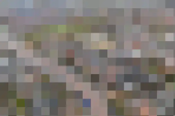 Fortuinlaan 60 Krommenie thumbnail 53