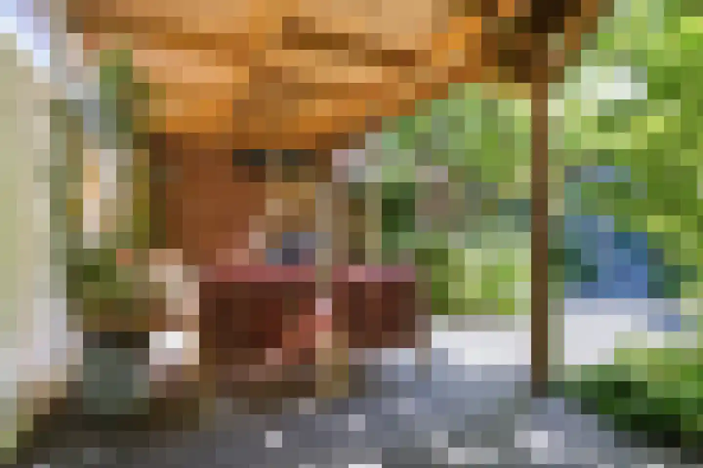 Fortuinlaan 68 Krommenie thumbnail 19
