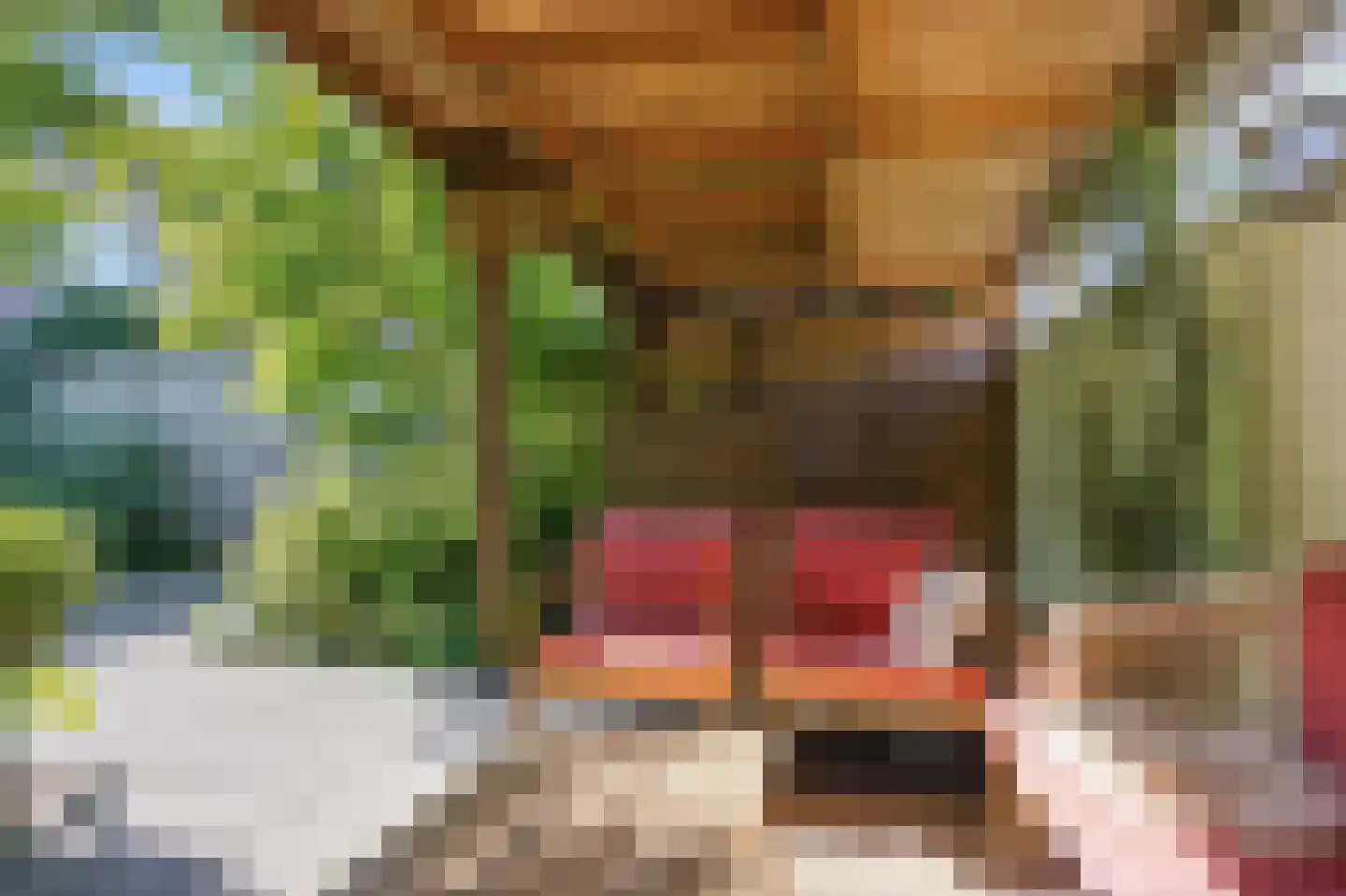 Fortuinlaan 68 Krommenie thumbnail 21