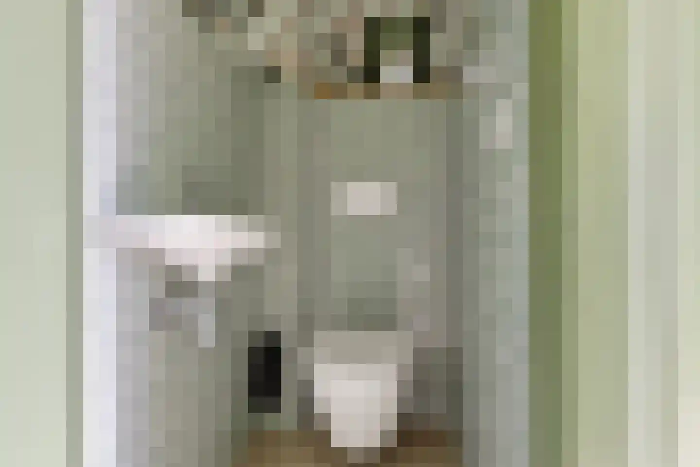Fortuinlaan 68 Krommenie thumbnail 26