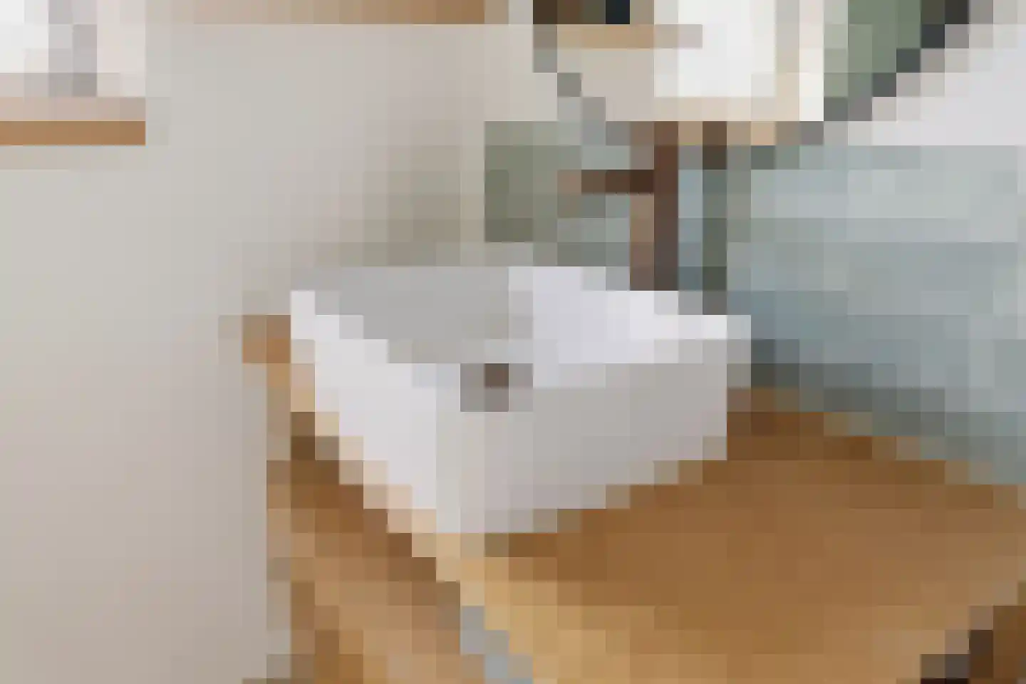 Fortuinlaan 68 Krommenie thumbnail 38