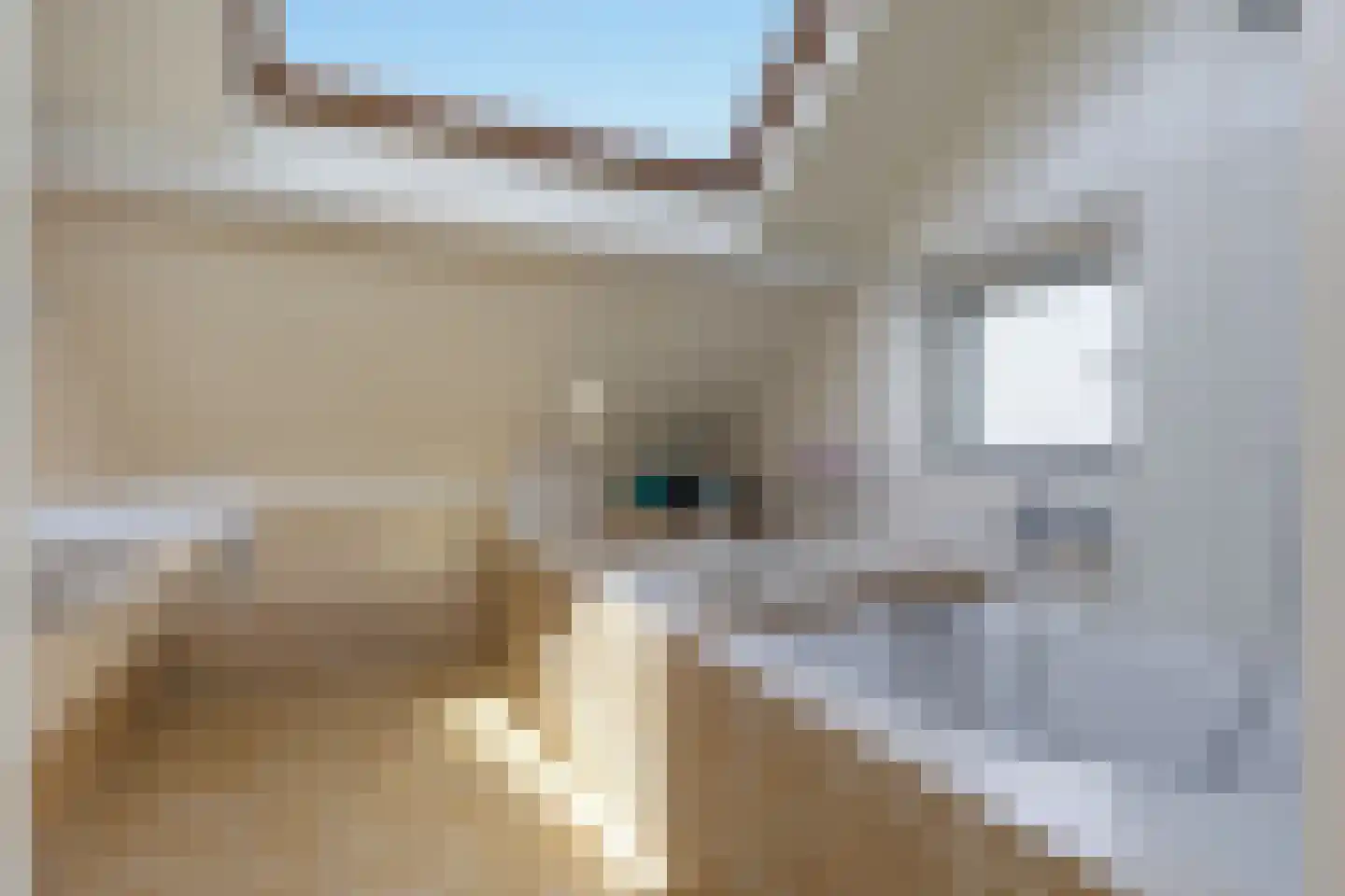 Fortuinlaan 68 Krommenie thumbnail 40