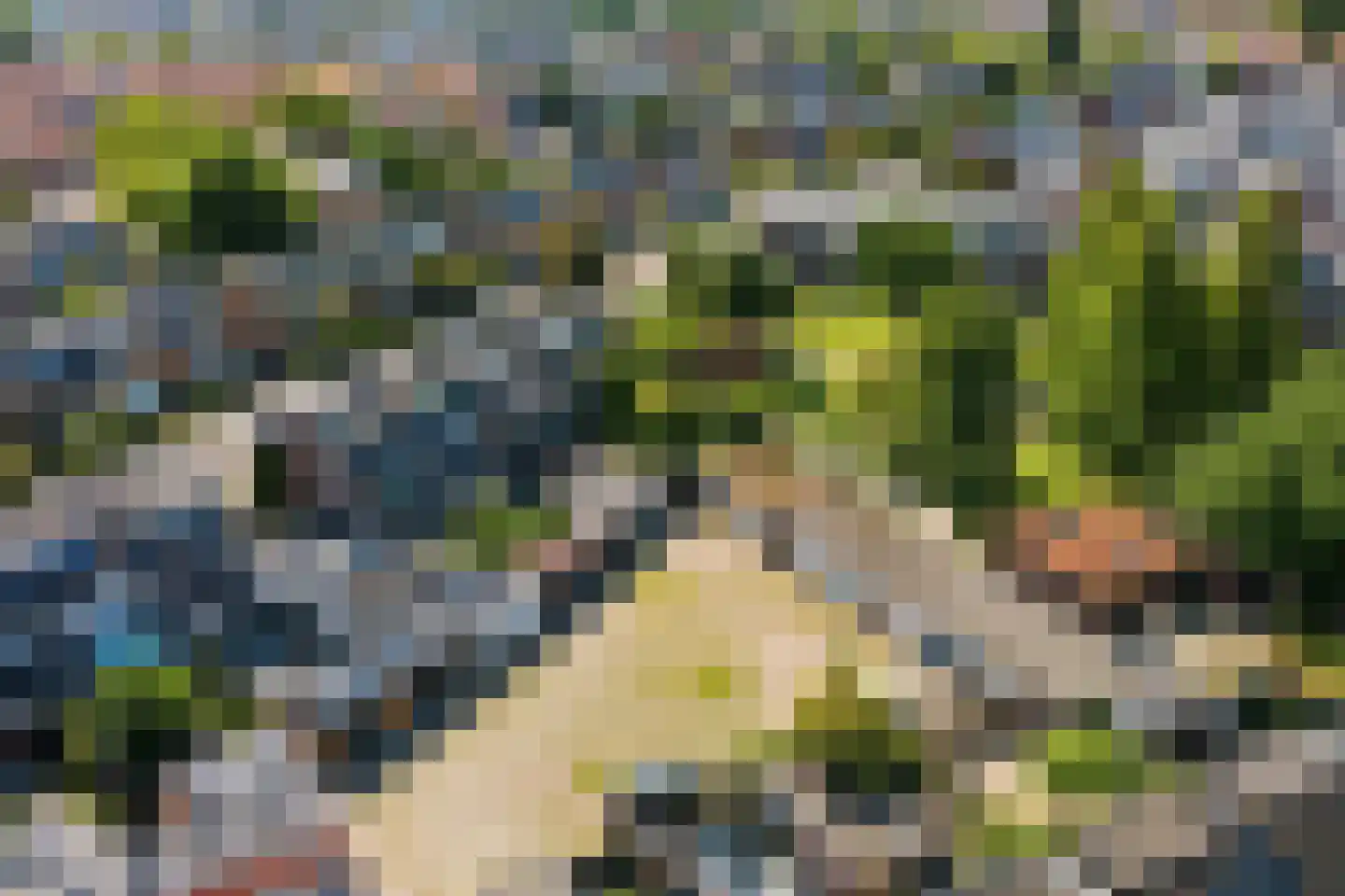 Fortuinlaan 68 Krommenie thumbnail 49