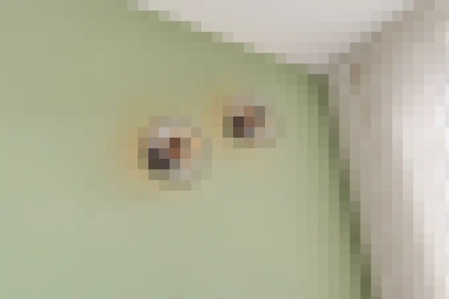Fortuinlaan 68 Krommenie thumbnail 6