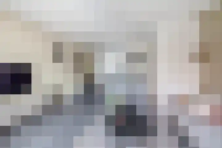 Fortuinlaan 92 Krommenie thumbnail 13