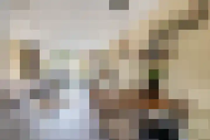 Fortuinlaan 92 Krommenie thumbnail 17
