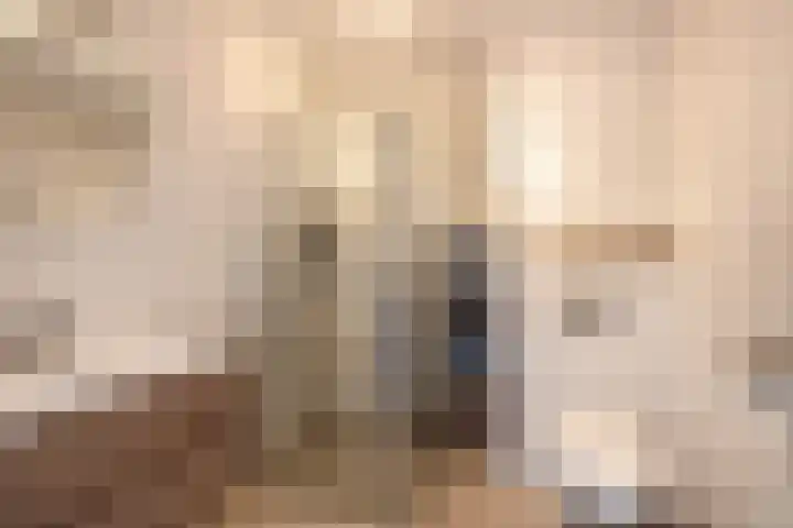 Fortuinlaan 92 Krommenie thumbnail 23