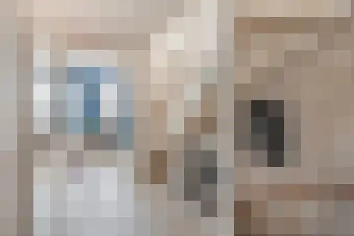 Fortuinlaan 96 Krommenie thumbnail 17