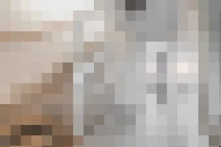 Fortuinlaan 96 Krommenie thumbnail 26