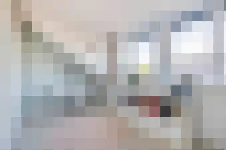 Fortuinlaan 96 Krommenie thumbnail 29